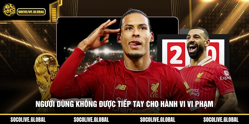 Người dùng không được tiếp tay cho hành vi vi phạm