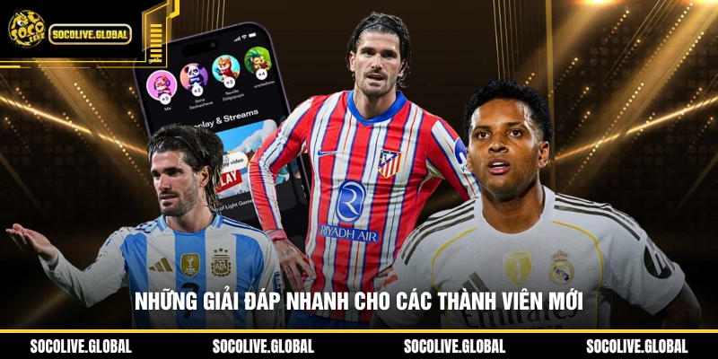 Những giải đáp nhanh cho các thành viên mới